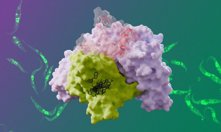 Structural insights reveal drug target in trypanosome parasite