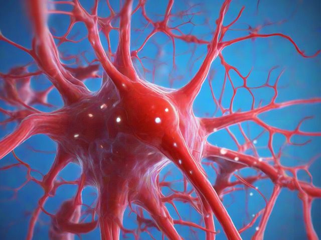 Une percée majeure pour comprendre l’origine de la maladie d’Alzheimer