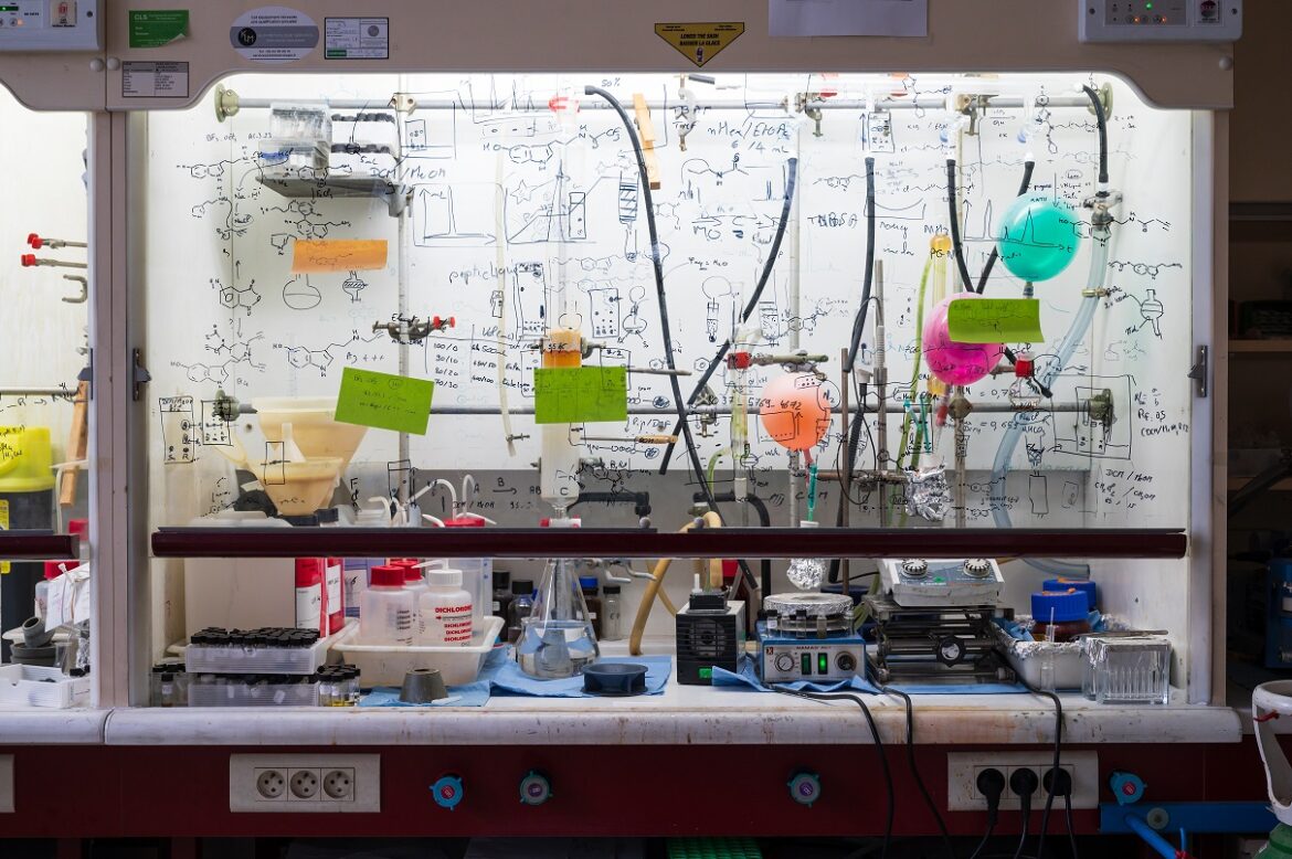 © Art in Research / « Raphaël Rodriguez est lauréat 2024 du programme Impulscience de la Fondation Bettencourt Schueller »
