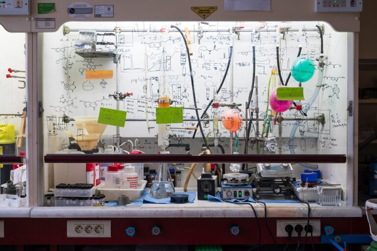 Une nouvelle classe de molécules contre les cellules cancéreuses réfractaires aux traitements conventionnels